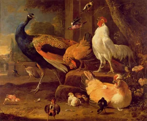 Drób, ok. 1670